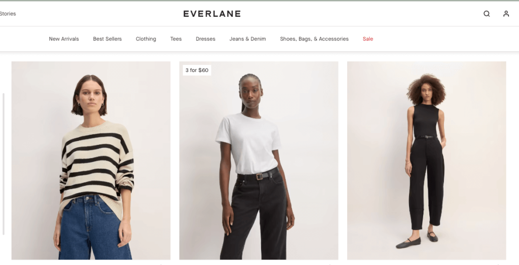 Everlane womens modest Clothing