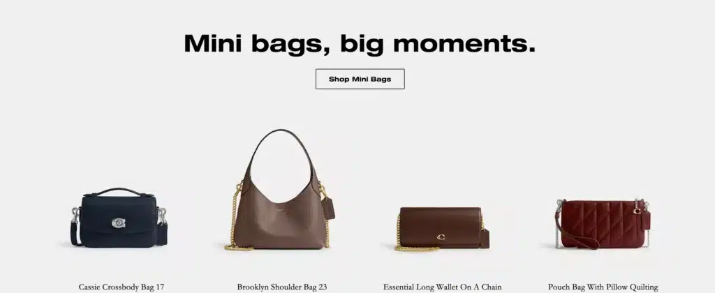 Coach Affordable Desinger Bags